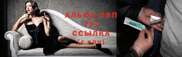 сатива Покров