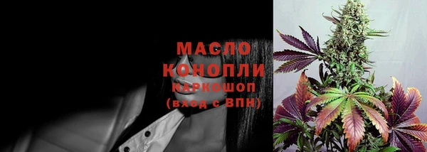 сатива Покачи