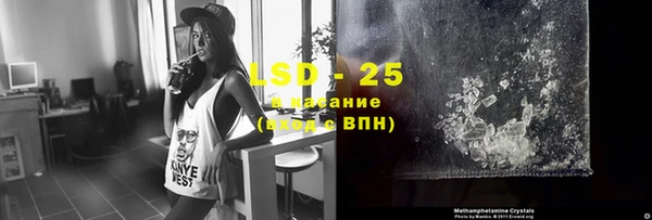 сатива Покачи