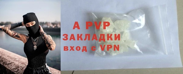 сатива Покачи