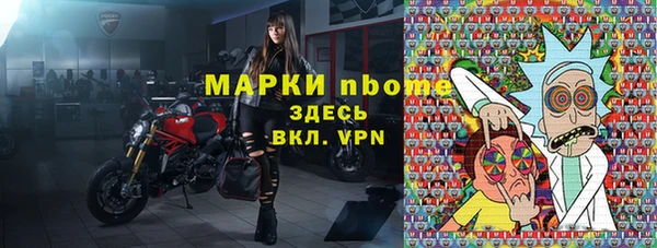 сатива Покачи