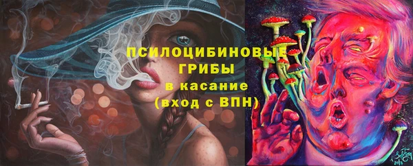 сатива Покачи