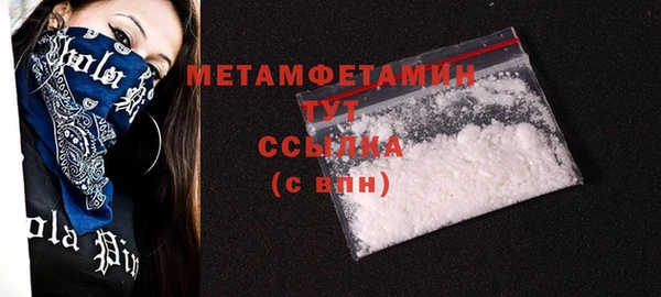 сатива Покачи