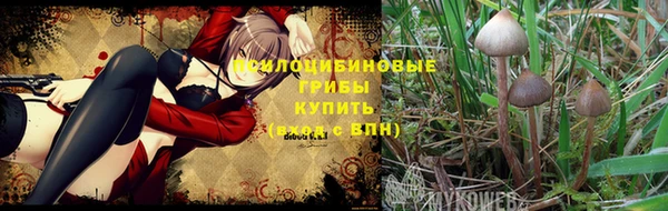 спиды Абдулино